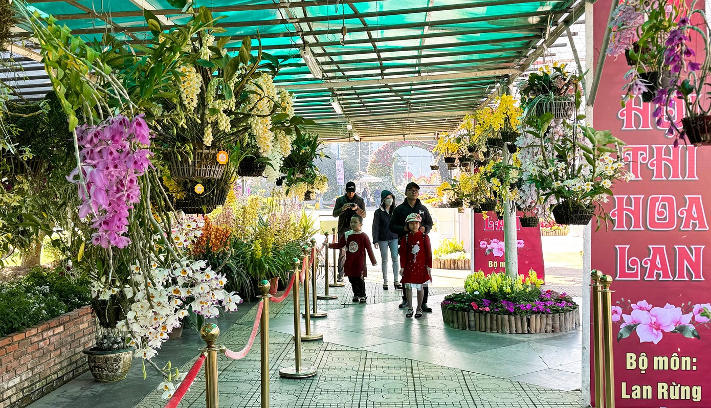 Ngày hội của những giò lan rừng tại Lâm Đồng Ngày hội của những giò lan rừng tại Lâm Đồng