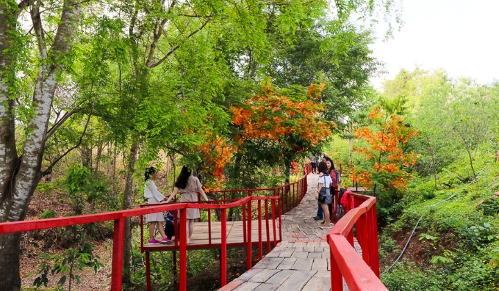 Du khách tham quan Khu bảo tồn lan rừng trong Khu DLST Troh Bư - Buôn Đôn Du khách tham quan Khu bảo tồn lan rừng trong Khu DLST Troh Bư - Buôn Đôn