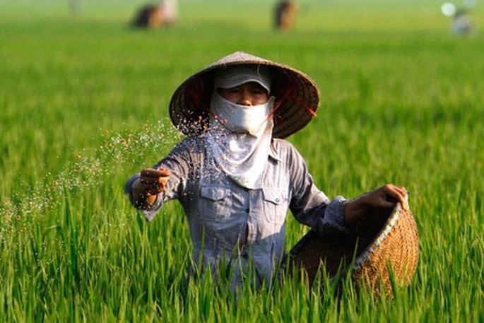 Vì sao chiến sự Trung Đông tác động đến giá phân bón Việt Nam? Vì sao chiến sự Trung Đông tác động đến giá phân bón Việt Nam?