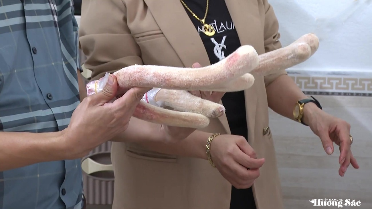 Hà Tĩnh: Nuôi hươu truyền thống vẫn mang lại hiệu quả kinh tế cao Hà Tĩnh: Nuôi hươu truyền thống vẫn mang lại hiệu quả kinh tế cao