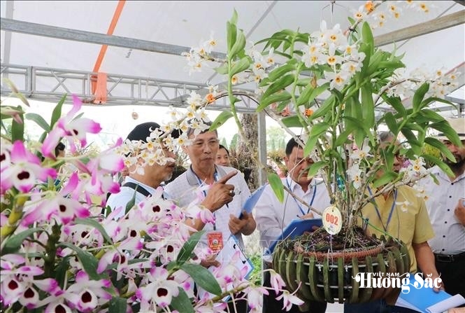 Lai Châu: Bản hòa ca hương sắc giữa đại ngàn Tây Bắc Lai Châu: Bản hòa ca hương sắc giữa đại ngàn Tây Bắc