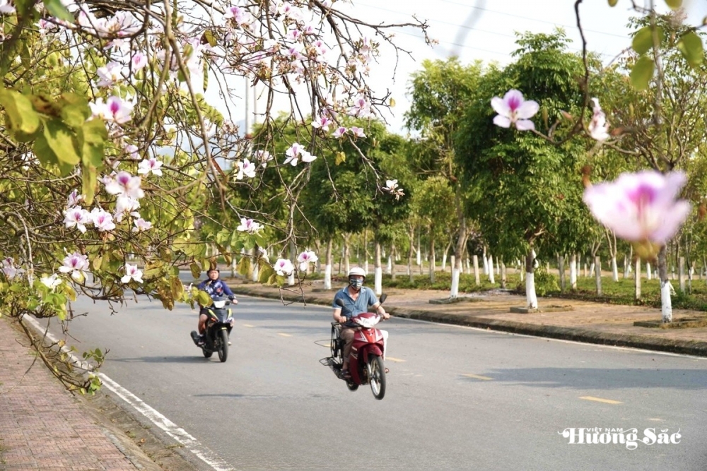 Lai Châu: Bản hòa ca hương sắc giữa đại ngàn Tây Bắc Lai Châu: Bản hòa ca hương sắc giữa đại ngàn Tây Bắc