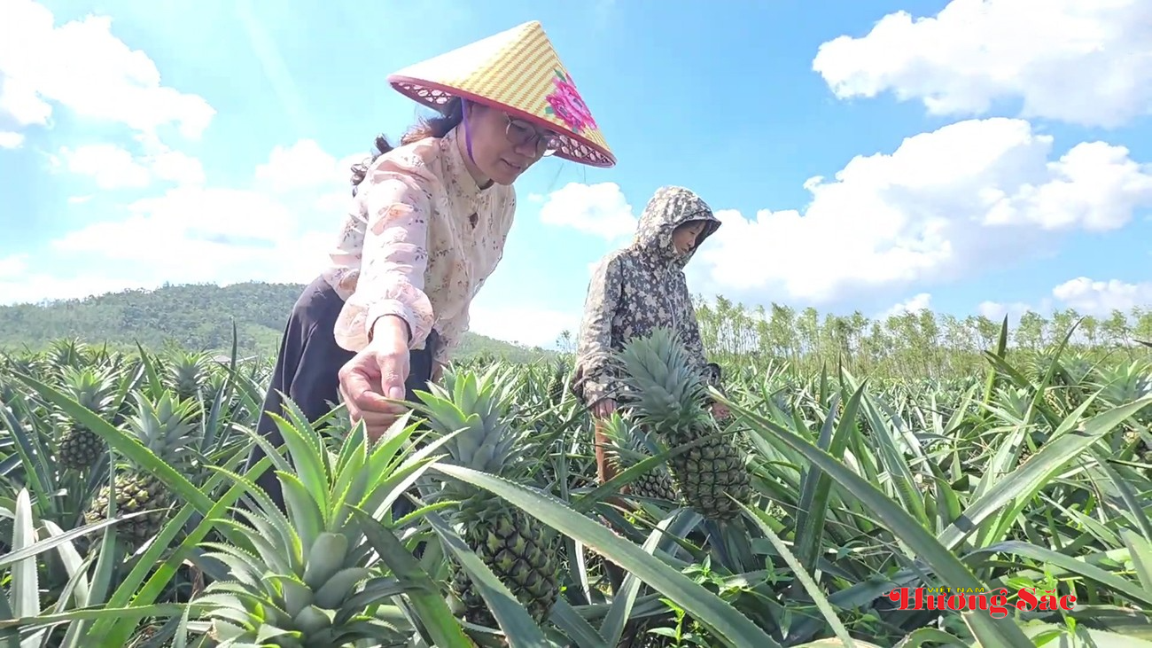 Chuyển đổi cơ cấu cây trồng, tạo động lực cho phát triển nông nghiệp bền vững trong giai đoạn mới Chuyển đổi cơ cấu cây trồng, tạo động lực cho phát triển nông nghiệp bền vững trong giai đoạn mới