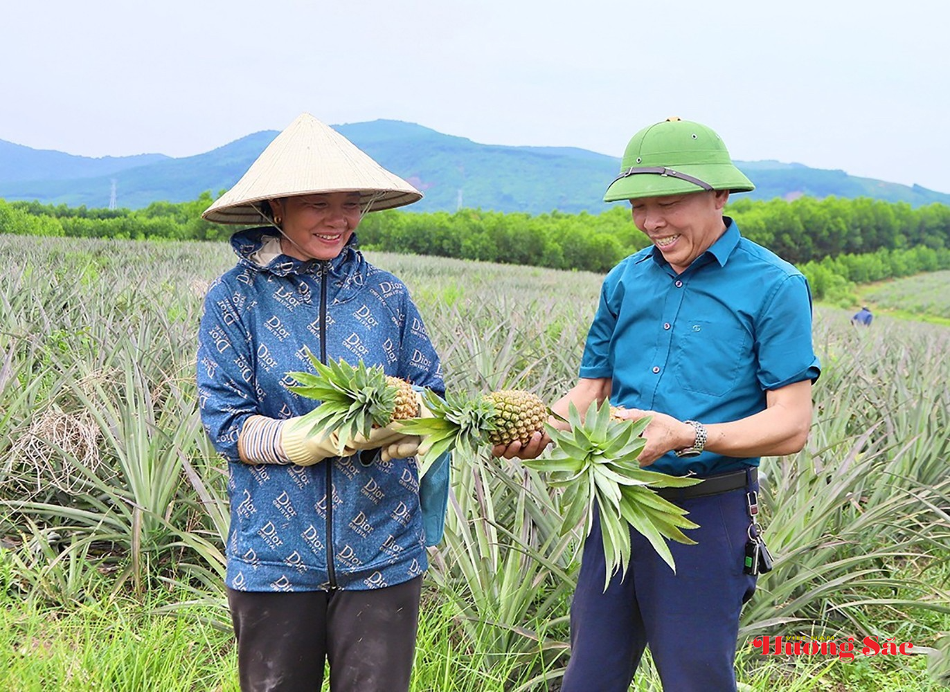 Chuyển đổi cơ cấu cây trồng, tạo động lực cho phát triển nông nghiệp bền vững trong giai đoạn mới Chuyển đổi cơ cấu cây trồng, tạo động lực cho phát triển nông nghiệp bền vững trong giai đoạn mới