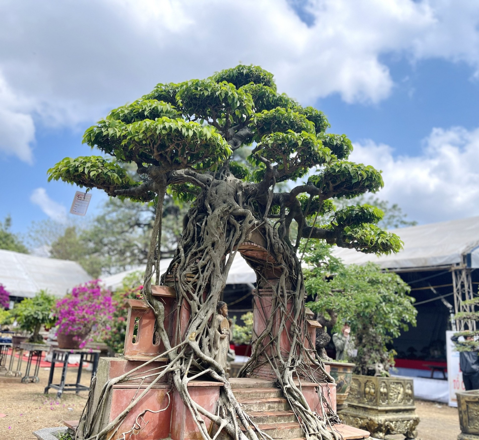 Từ một gốc sanh nhỏ bìa rừng đã trở thành tác phẩm Cổng làng của nghệ nhân Phan Thanh Cảm. Từ một gốc sanh nhỏ bìa rừng đã trở thành tác phẩm Cổng làng của nghệ nhân Phan Thanh Cảm.