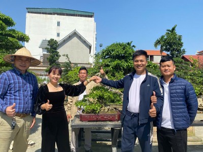 Những chuyến đi thúc đẩy phong trào Bonsai