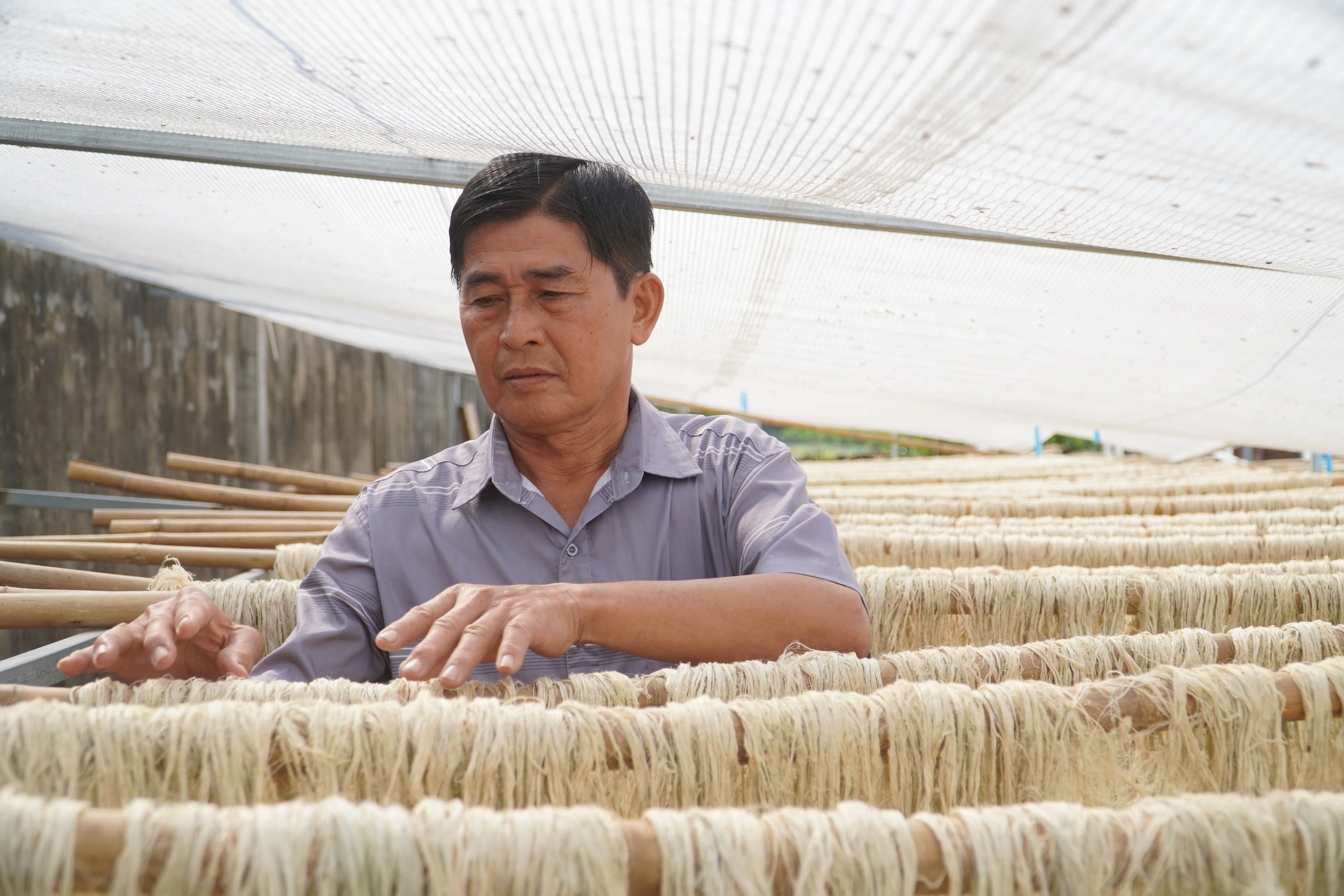 Lá khóm bỏ đi thành nguyên liệu dệt may, nông dân miền Tây tăng thêm thu nhập Lá khóm bỏ đi thành nguyên liệu dệt may, nông dân miền Tây tăng thêm thu nhập