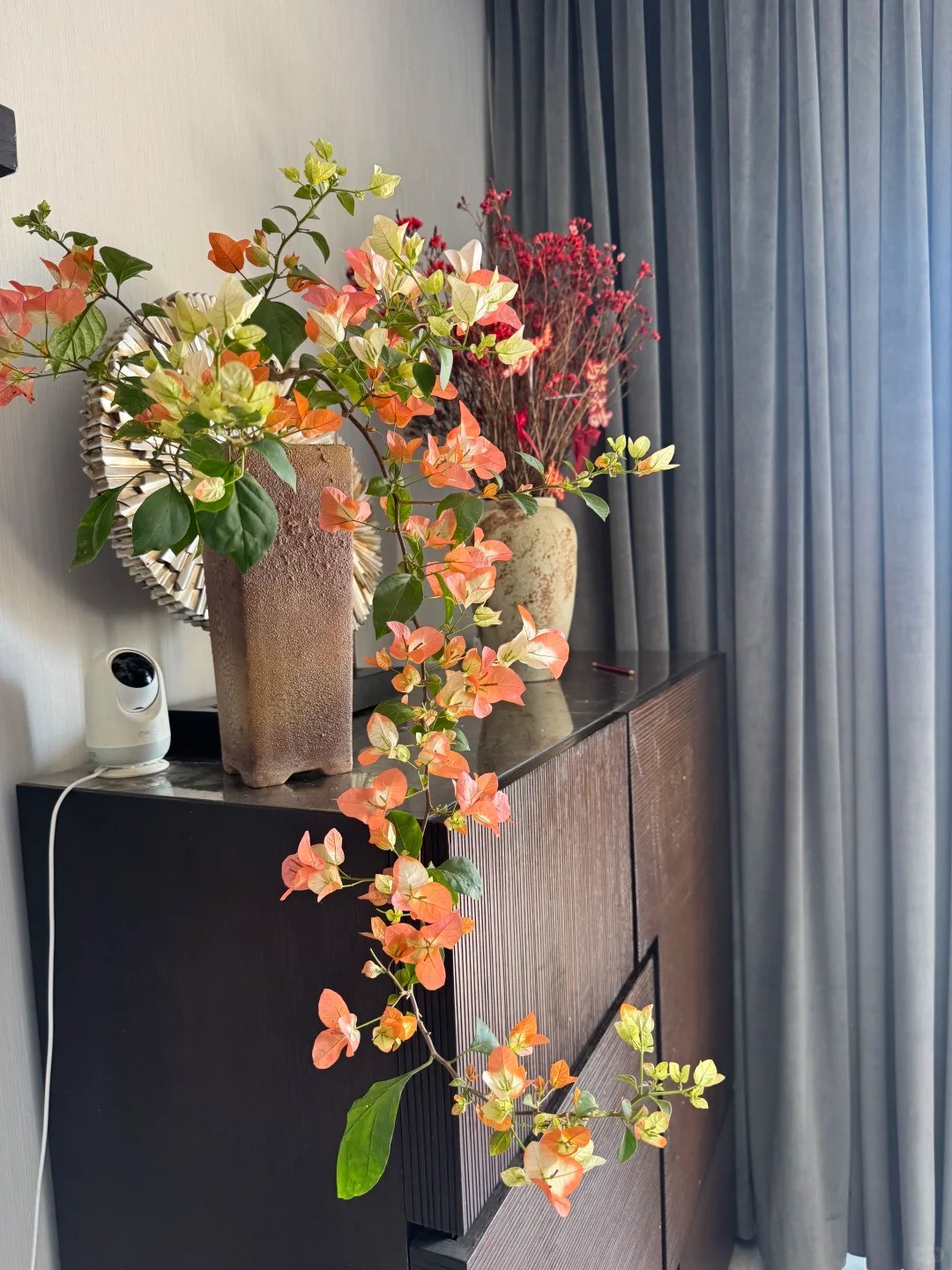 Hoa giấy bonsai mini: Vì sao loài cây quen thuộc trước cổng nhà lại được dân chung cư ưa chuộng? Hoa giấy bonsai mini: Vì sao loài cây quen thuộc trước cổng nhà lại được dân chung cư ưa chuộng?