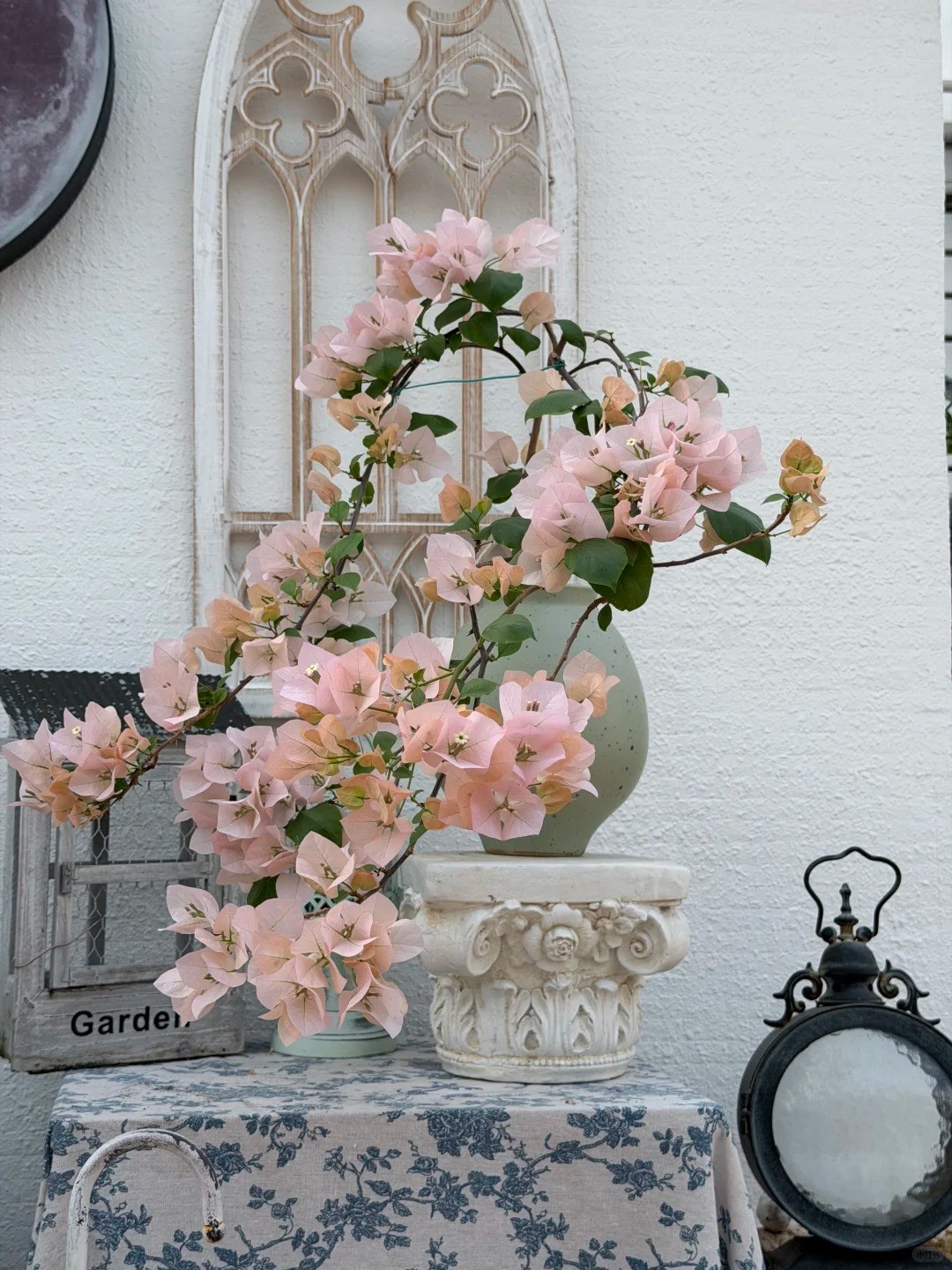 Hoa giấy bonsai mini: Vì sao loài cây quen thuộc trước cổng nhà lại được dân chung cư ưa chuộng? Hoa giấy bonsai mini: Vì sao loài cây quen thuộc trước cổng nhà lại được dân chung cư ưa chuộng?