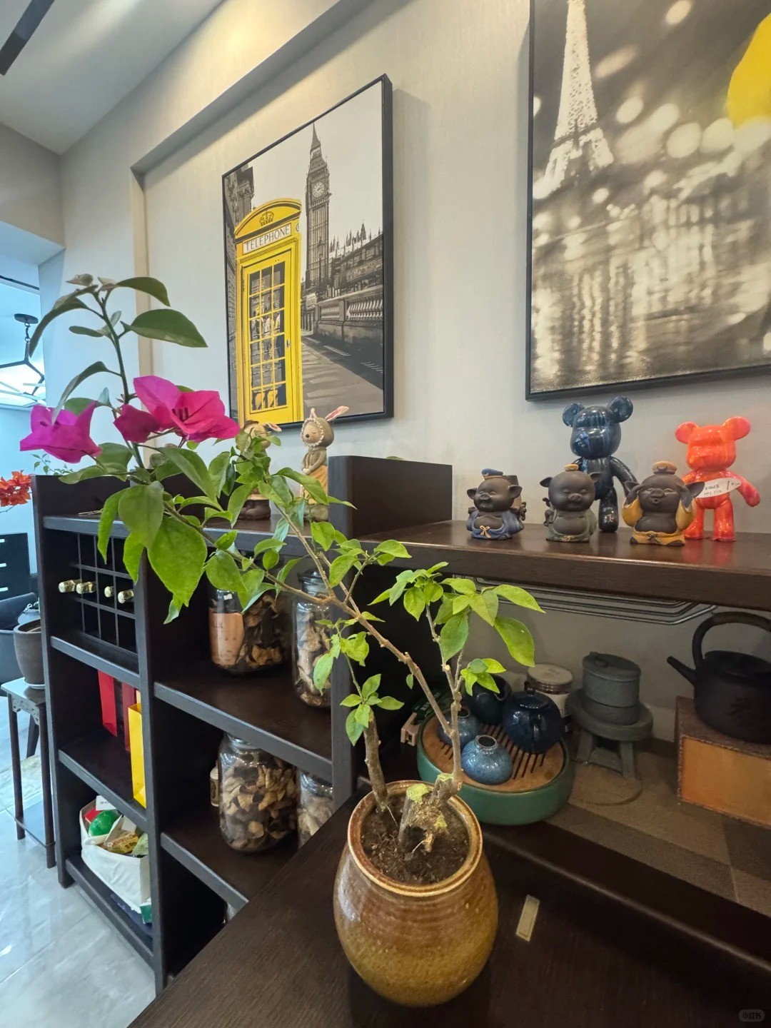 Hoa giấy bonsai mini: Vì sao loài cây quen thuộc trước cổng nhà lại được dân chung cư ưa chuộng? Hoa giấy bonsai mini: Vì sao loài cây quen thuộc trước cổng nhà lại được dân chung cư ưa chuộng?