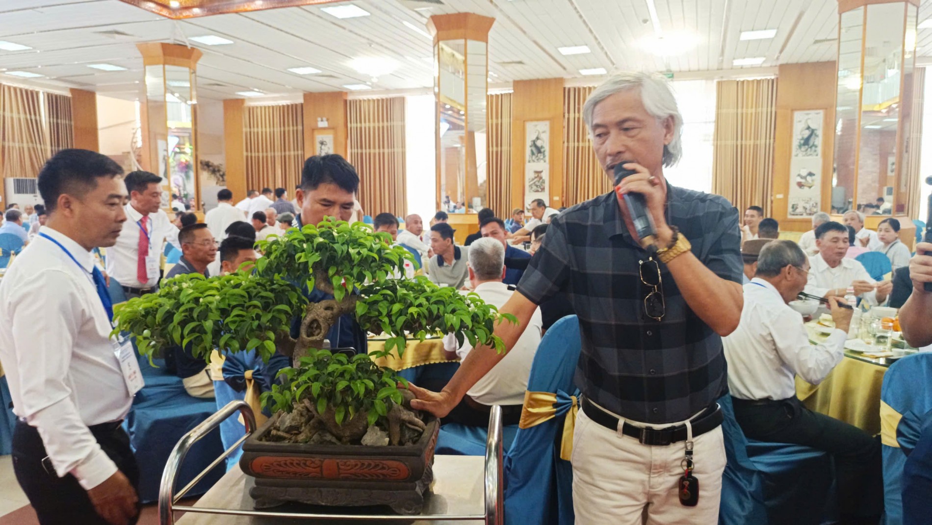 Triển lãm hoa cây cảnh nghệ thuật chào mừng Festival “Về miền di sản 2026” Triển lãm hoa cây cảnh nghệ thuật chào mừng Festival “Về miền di sản 2026”