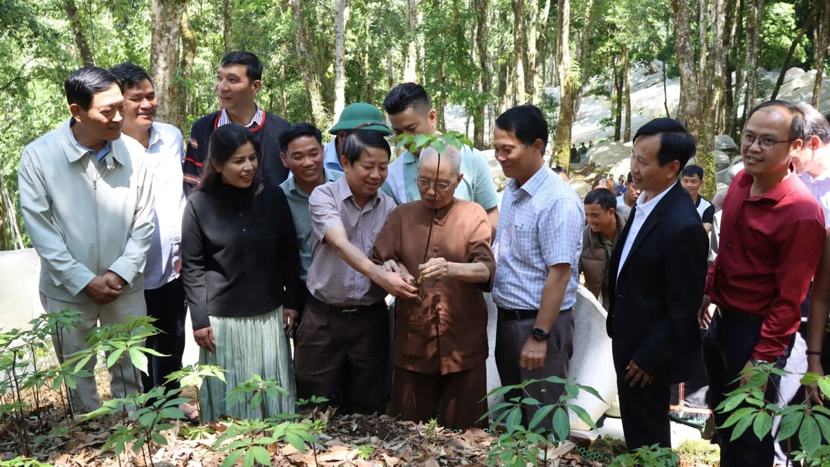 Quảng Ngãi: Trao 3.000 cây sâm Ngọc Linh cho thanh niên vùng cao phát triển kinh tế Quảng Ngãi: Trao 3.000 cây sâm Ngọc Linh cho thanh niên vùng cao phát triển kinh tế