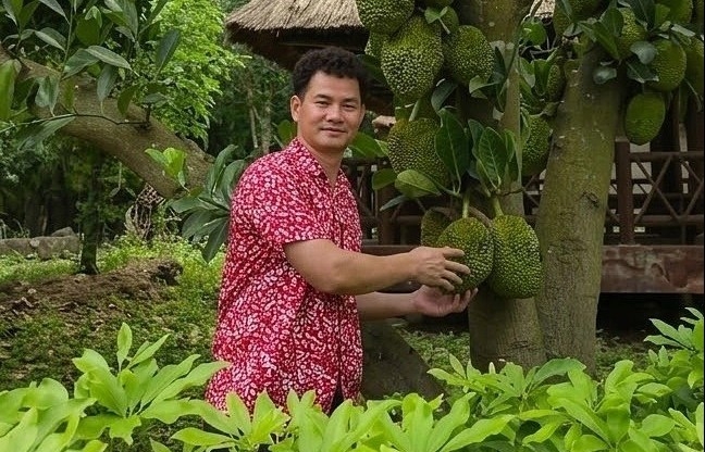 Nghệ sĩ Xuân Bắc chăm vườn, trồng rau quả tại nhà riêng