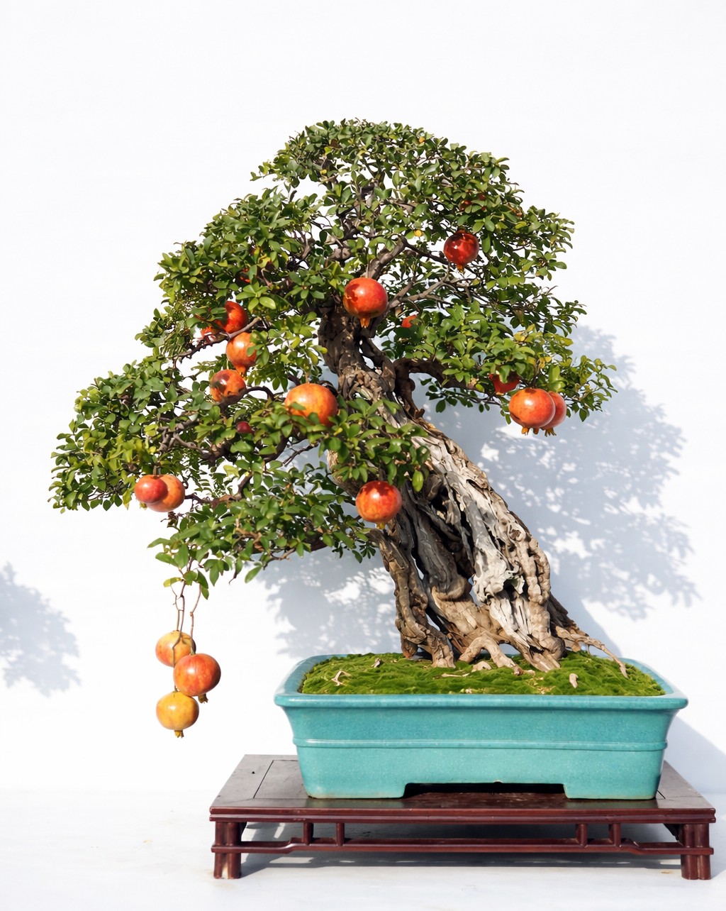 Người xưa dạy: “Cành trĩu quả nặng, phúc lộc đầy nhà Người xưa dạy: “Cành trĩu quả nặng, phúc lộc đầy nhà