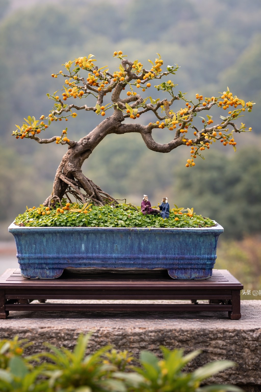 Người xưa dạy: “Cành trĩu quả nặng, phúc lộc đầy nhà Người xưa dạy: “Cành trĩu quả nặng, phúc lộc đầy nhà