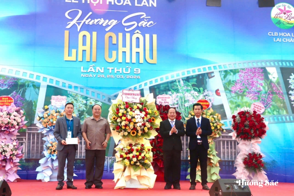 Lai Châu: Đa dạng, phong phú Lễ hội Hoa lan năm 2026 Lai Châu: Đa dạng, phong phú Lễ hội Hoa lan năm 2026