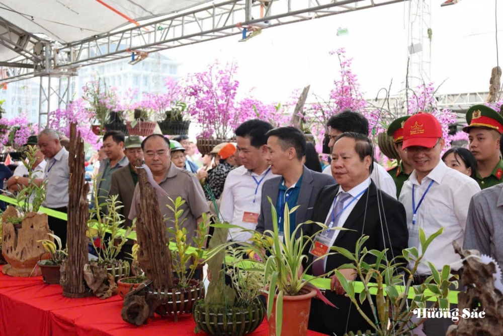 Lai Châu: Đa dạng, phong phú Lễ hội Hoa lan năm 2026 Lai Châu: Đa dạng, phong phú Lễ hội Hoa lan năm 2026