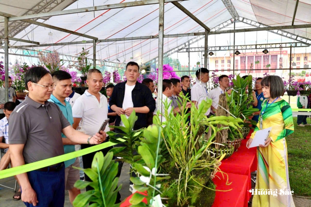 Lai Châu: Đa dạng, phong phú Lễ hội Hoa lan năm 2026 Lai Châu: Đa dạng, phong phú Lễ hội Hoa lan năm 2026