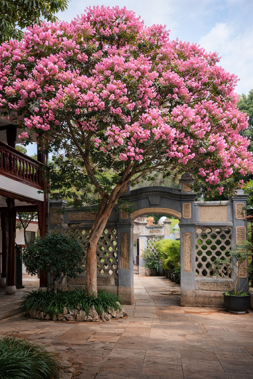 Người xưa dặn: Trồng một cây này trong sân, giữ phúc lành cho gia đình qua nhiều thế hệ Người xưa dặn: Trồng một cây này trong sân, giữ phúc lành cho gia đình qua nhiều thế hệ