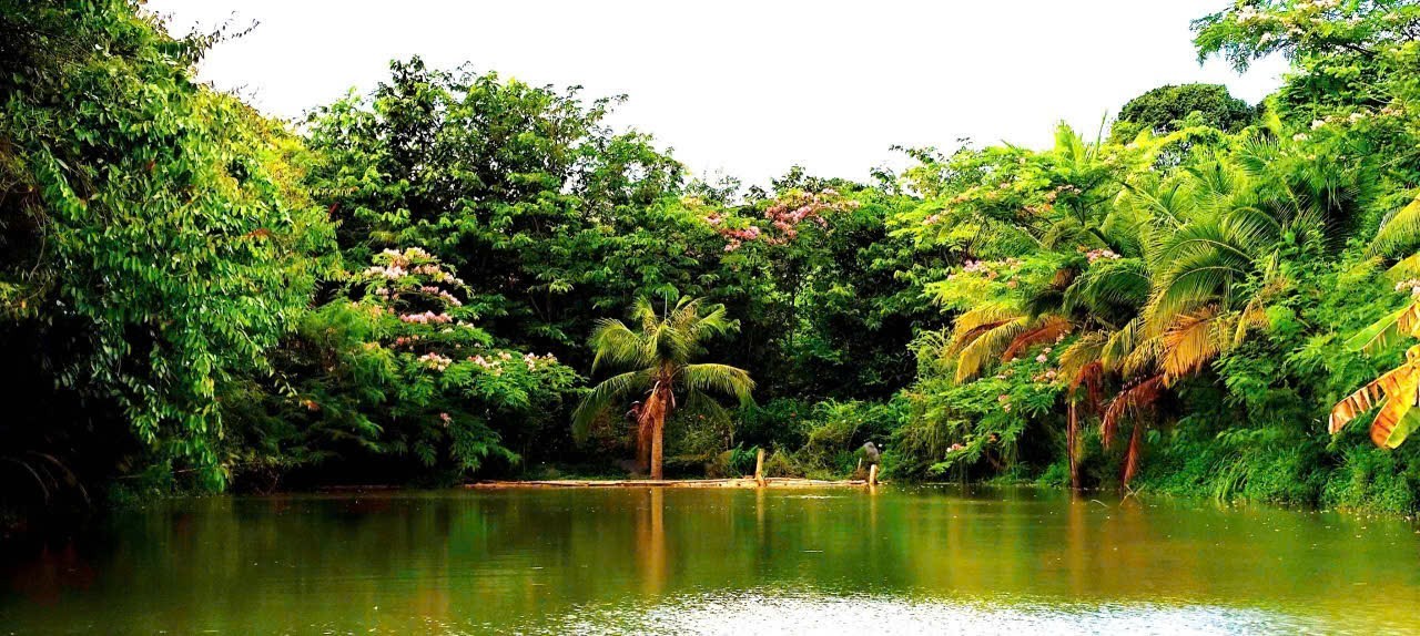Suối Rao Ecolodge: Không xây khu nghỉ dưỡng, kiến tạo một khu rừng sống Suối Rao Ecolodge: Không xây khu nghỉ dưỡng, kiến tạo một khu rừng sống