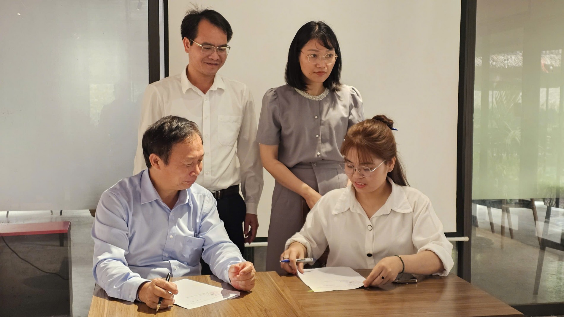 Cây mai vàng và tiềm năng phát triển kinh tế gắn với du lịch tại Ninh Bình