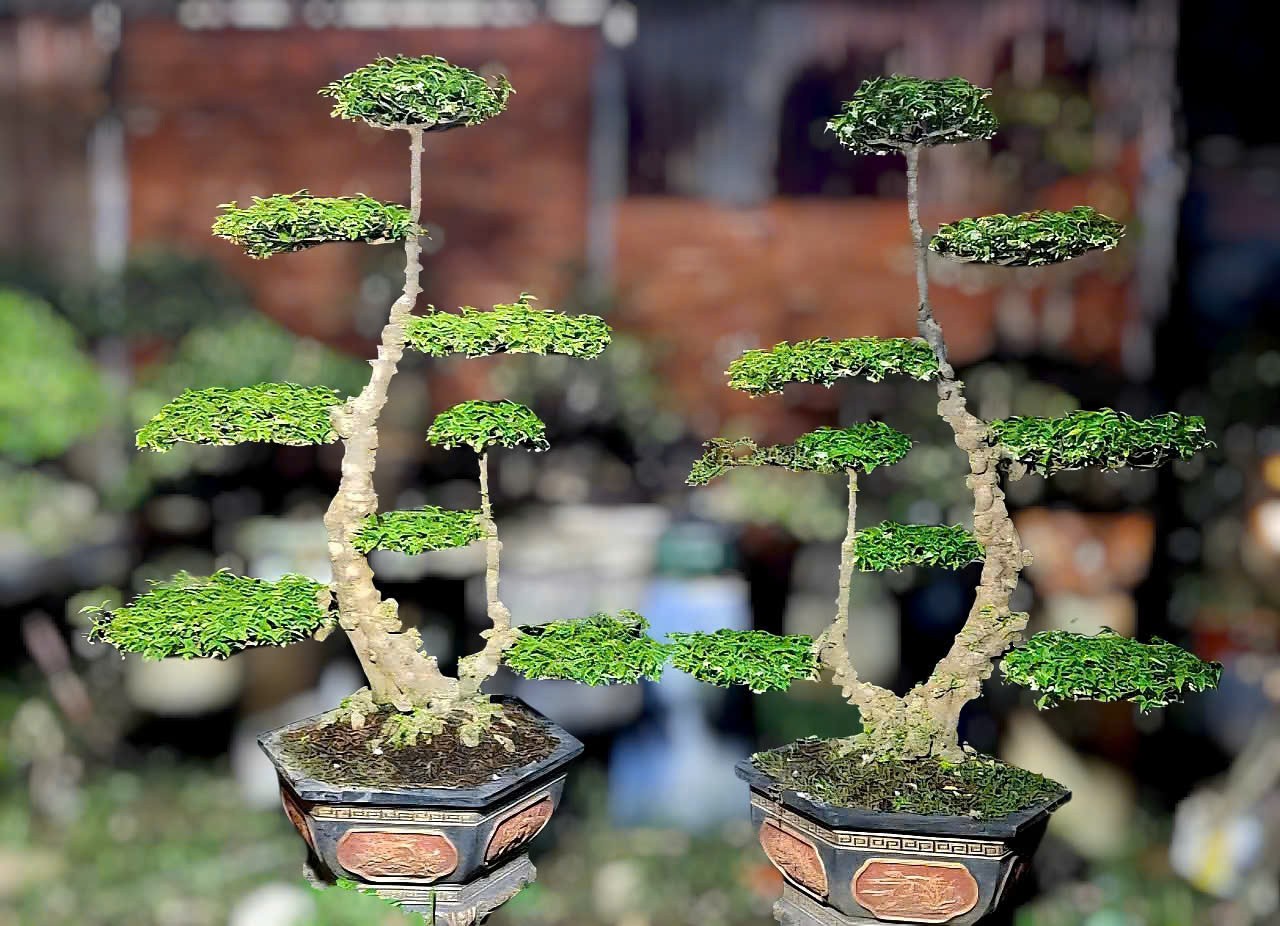 Kiểng cổ Tam Cang – Ngũ Thường: Dấu ấn cung đình trong hình tượng đạo lý phương Nam Kiểng cổ Tam Cang – Ngũ Thường: Dấu ấn cung đình trong hình tượng đạo lý phương Nam