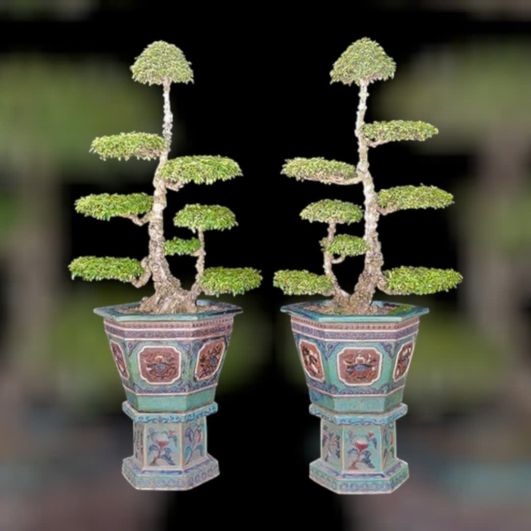 Kiểng cổ Tam Cang – Ngũ Thường: Dấu ấn cung đình trong hình tượng đạo lý phương Nam Kiểng cổ Tam Cang – Ngũ Thường: Dấu ấn cung đình trong hình tượng đạo lý phương Nam