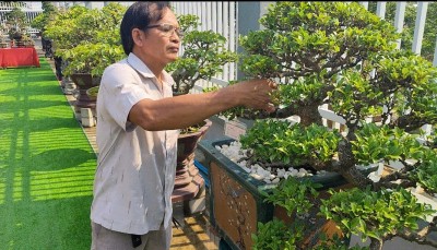 Chiêm ngưỡng 3 tác phẩm đặc sắc của nghệ nhân Nguyễn Sơn TP Đà Nẵng