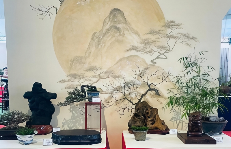 Bonsai và Suiseki - hành trình song hành của nghệ thuật và tinh thần phương Đông