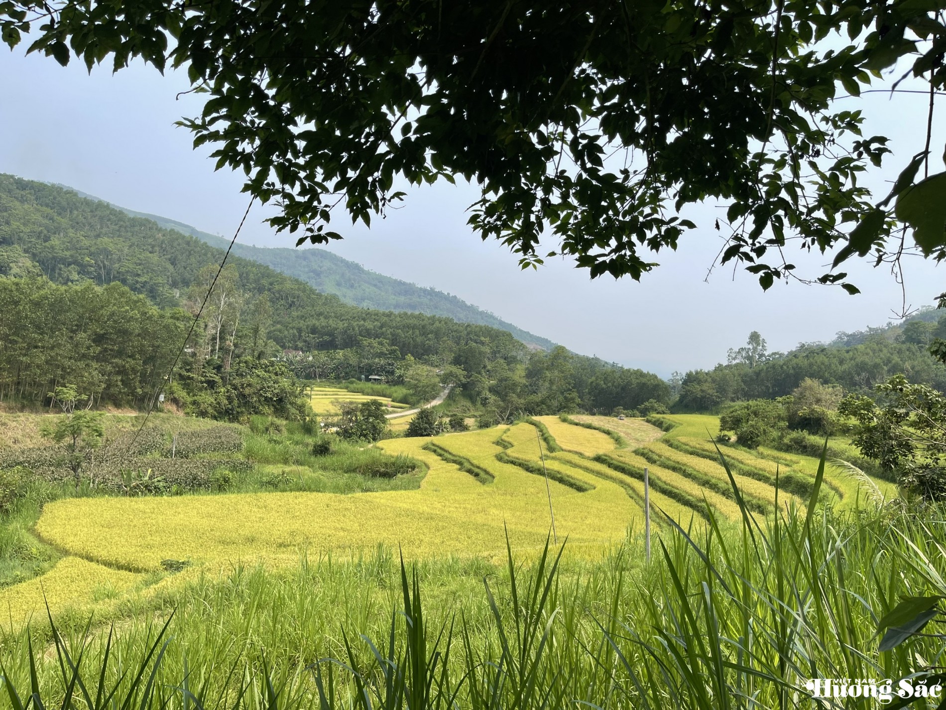 Những thửa ruộng bậc thang