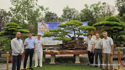 Bất ngờ trước tác phẩm thông "Danh Mộc Chí Linh" tại vườn cảnh An Tây Garden ở Hải Phòng