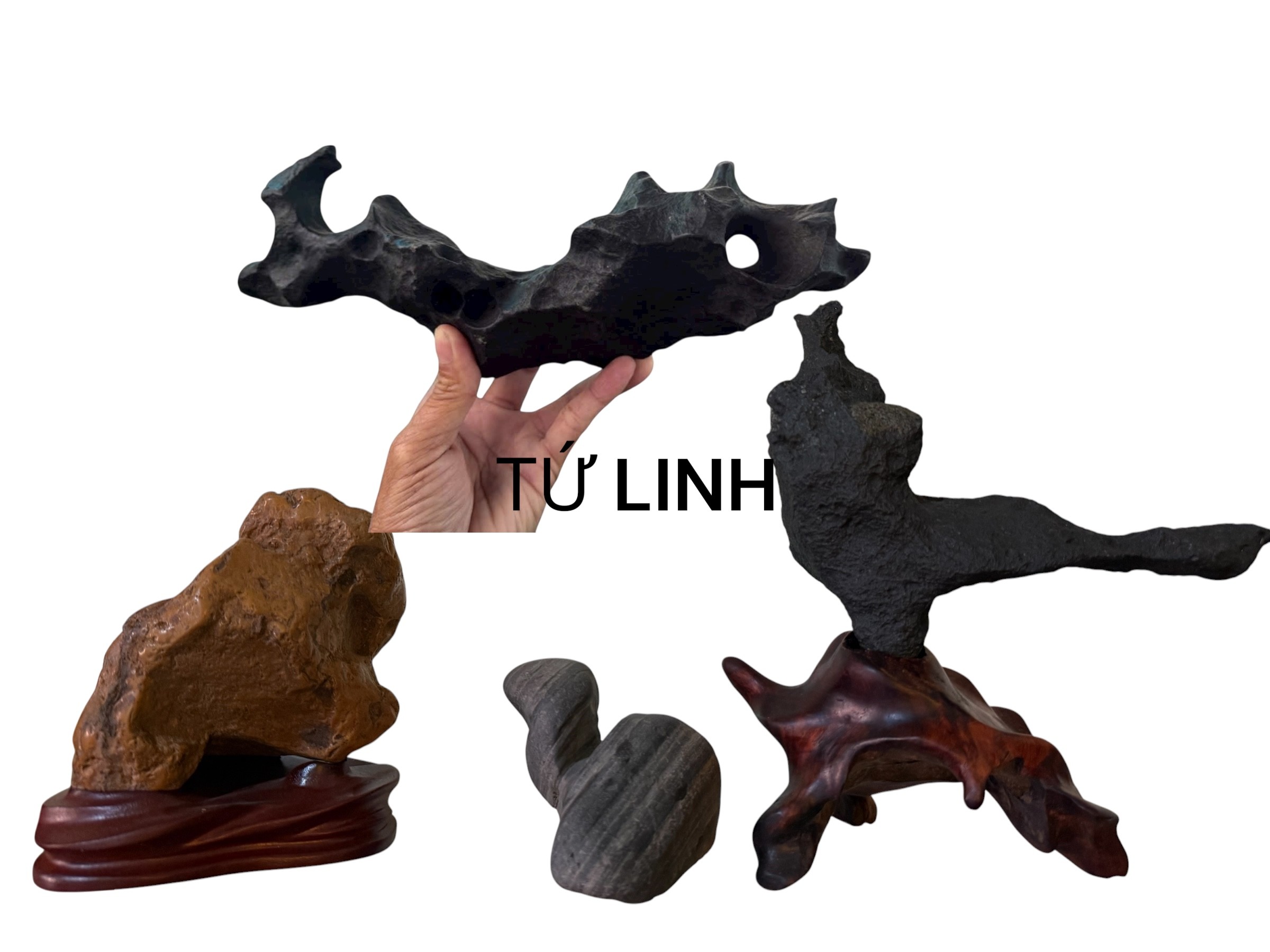 Tứ linh - 4 linh vật thiêng liêng, biểu tượng văn hóa trường tồn của người Việt