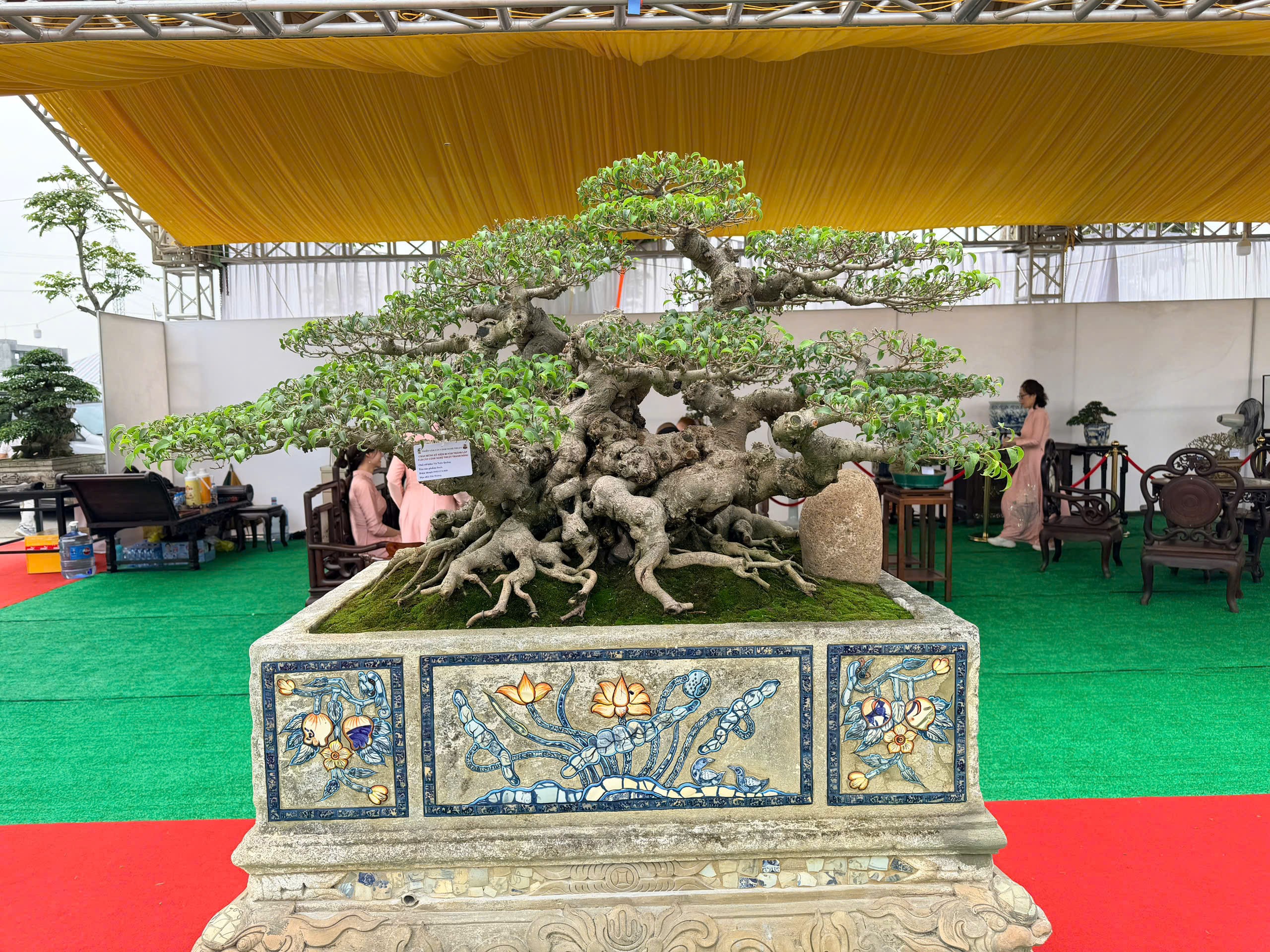 Triển lãm cây cảnh nghệ thuật Thành Đông lần 3: Dấu ấn 20 năm phát triển