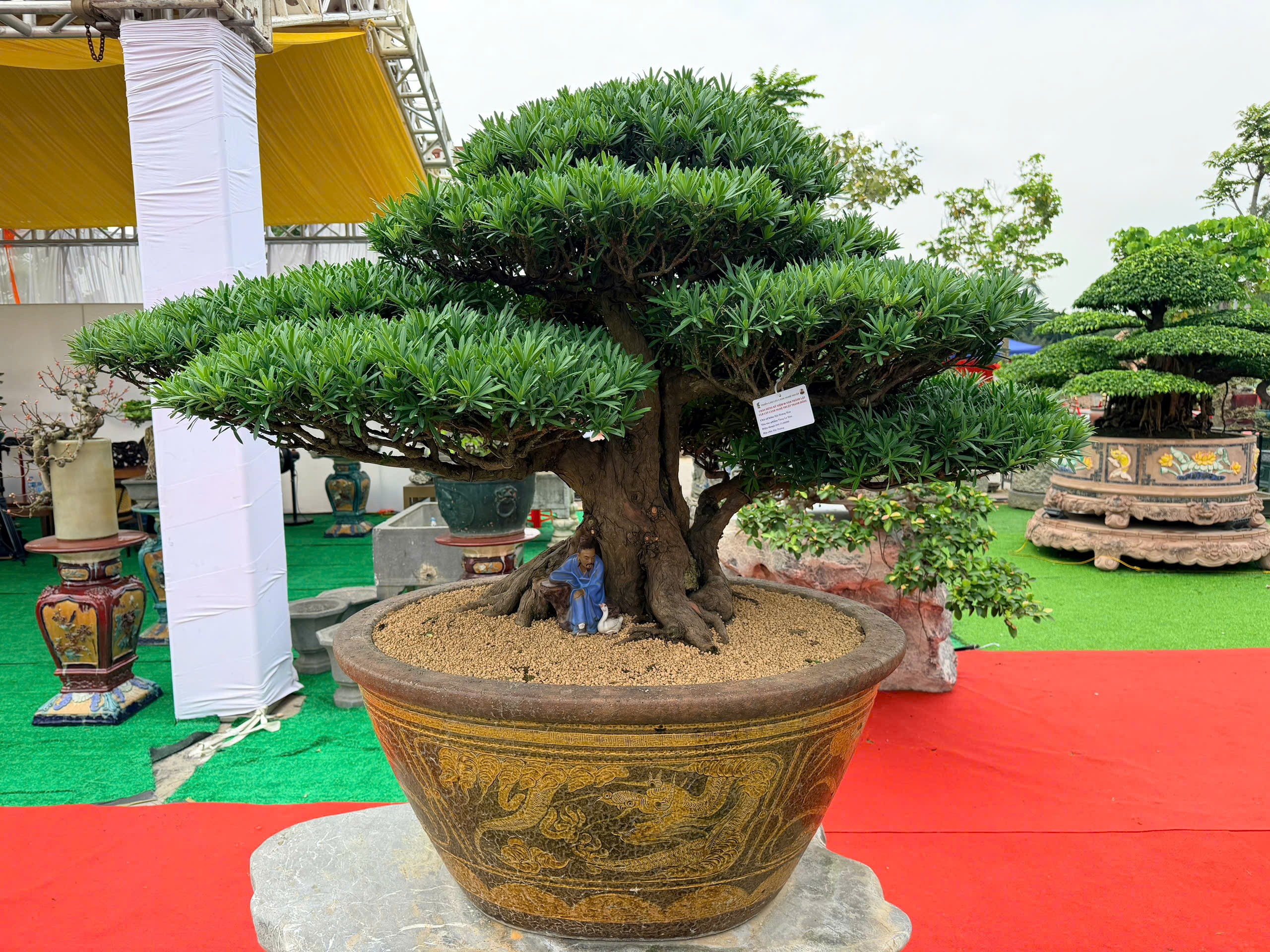 Triển lãm cây cảnh nghệ thuật Thành Đông lần 3: Dấu ấn 20 năm phát triển