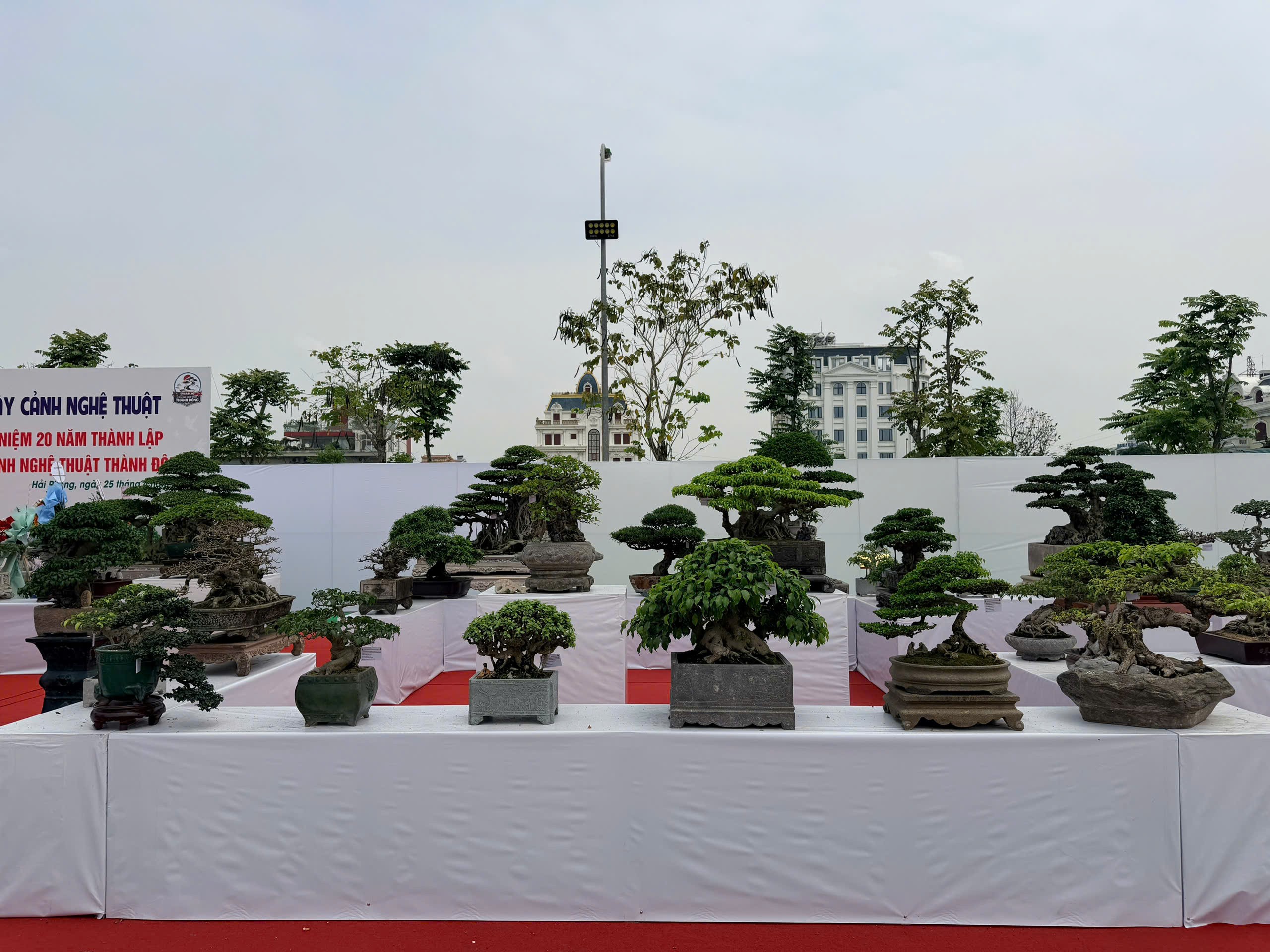 Triển lãm cây cảnh nghệ thuật Thành Đông lần 3: Dấu ấn 20 năm phát triển