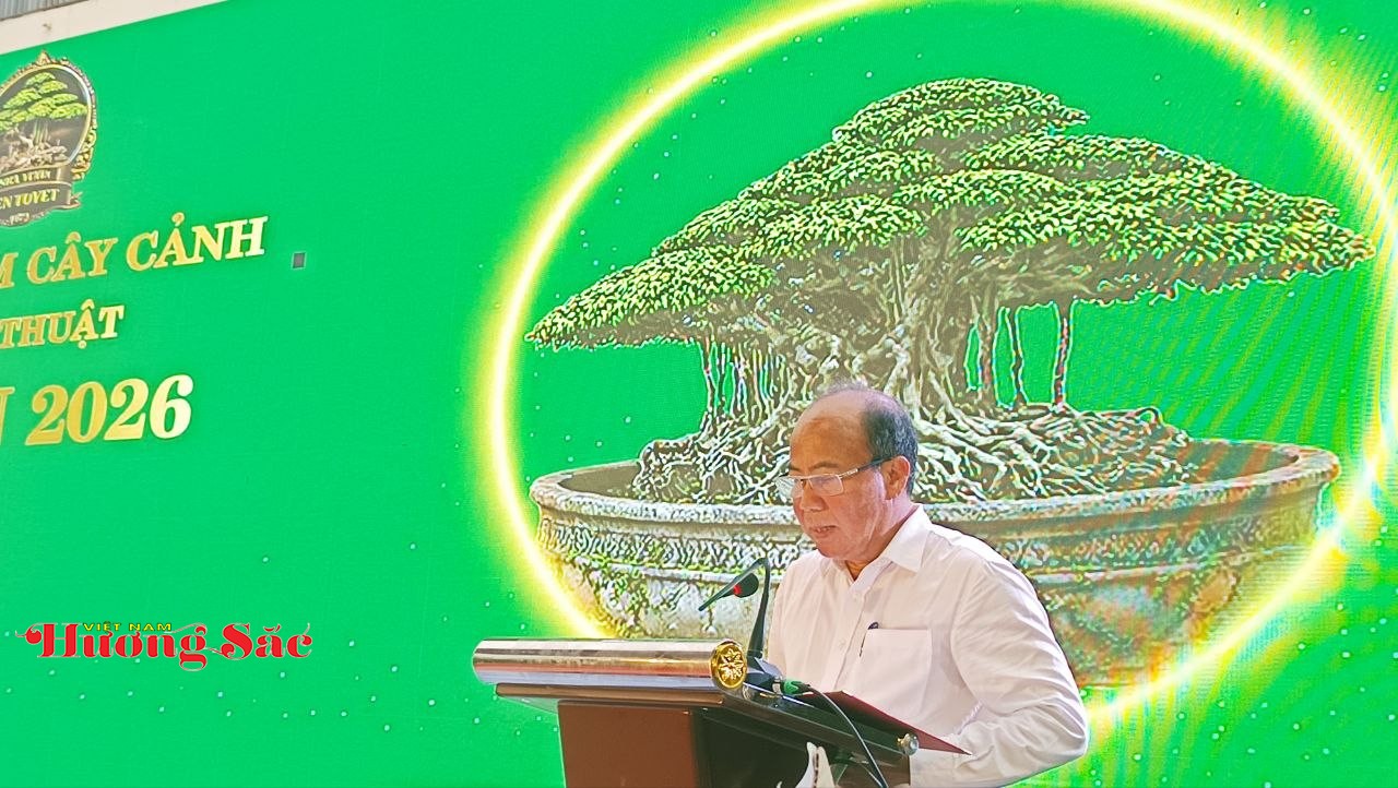 Hà Nội: Khai mạc Triển lãm Cây cảnh Nghệ thuật Xuân 2026