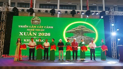 Hà Nội: Khai mạc Triển lãm Cây cảnh Nghệ thuật Xuân 2026