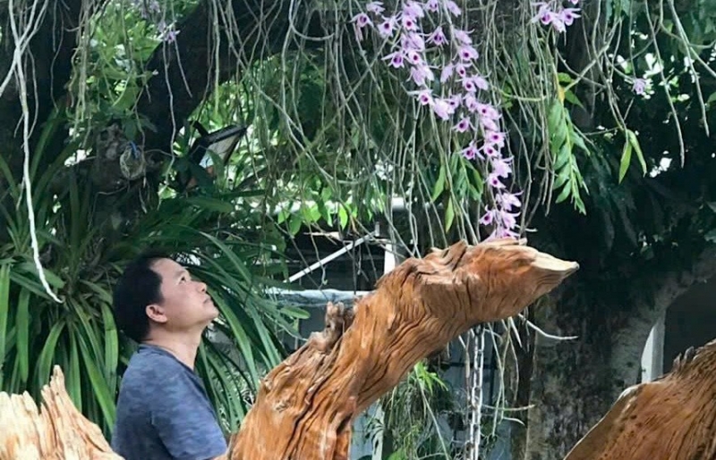 Nghệ nhân Phạm Minh Sơn: Người đưa sắc xanh trở lại không gian sống đô thị