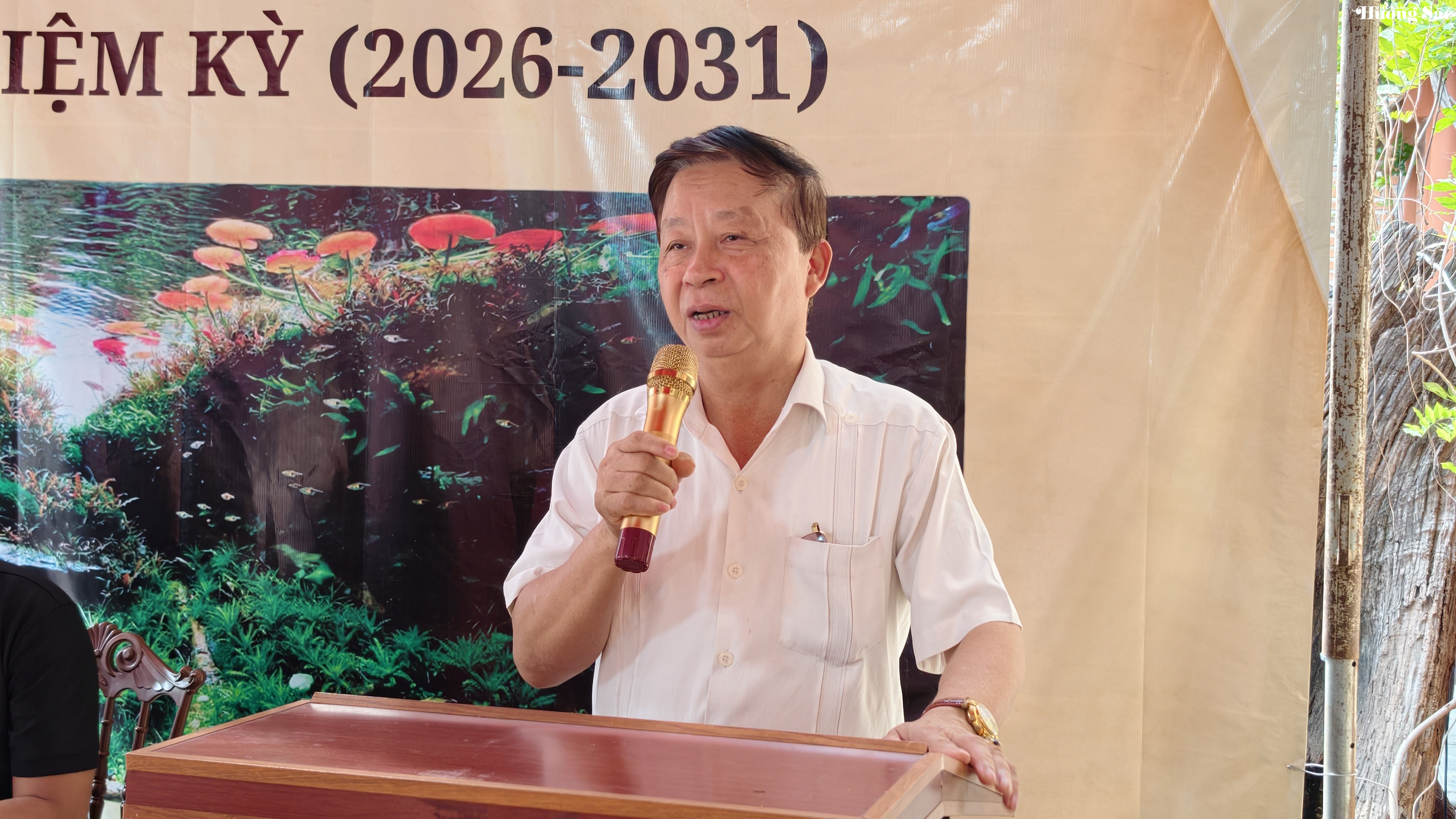 Ra mắt Câu lạc bộ Thủy sinh cảnh Việt Nam: Bước ngoặt cho cộng đồng Ra mắt Câu lạc bộ Thủy sinh cảnh Việt Nam: Bước ngoặt cho cộng đồng