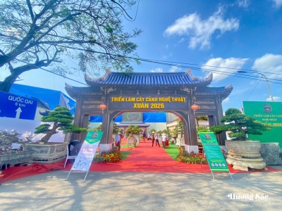 Triển lãm cây cảnh nghệ thuật Xuân 2026: Tôn vinh vẻ đẹp cây cảnh trong không gian mở