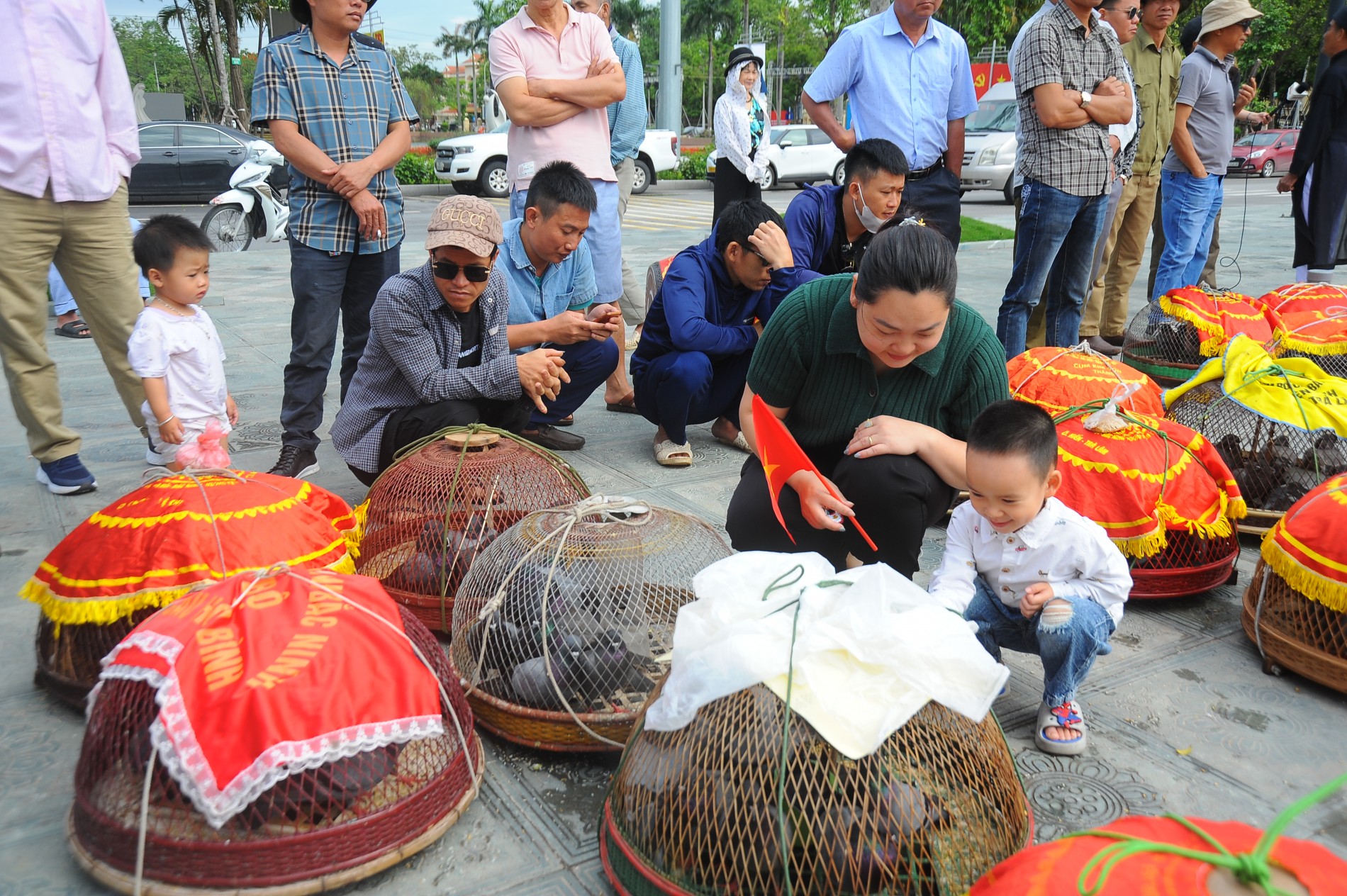 Thả chim bồ câu: Gửi ước vọng hòa bình trên bầu trời Kinh Bắc Thả chim bồ câu: Gửi ước vọng hòa bình trên bầu trời Kinh Bắc