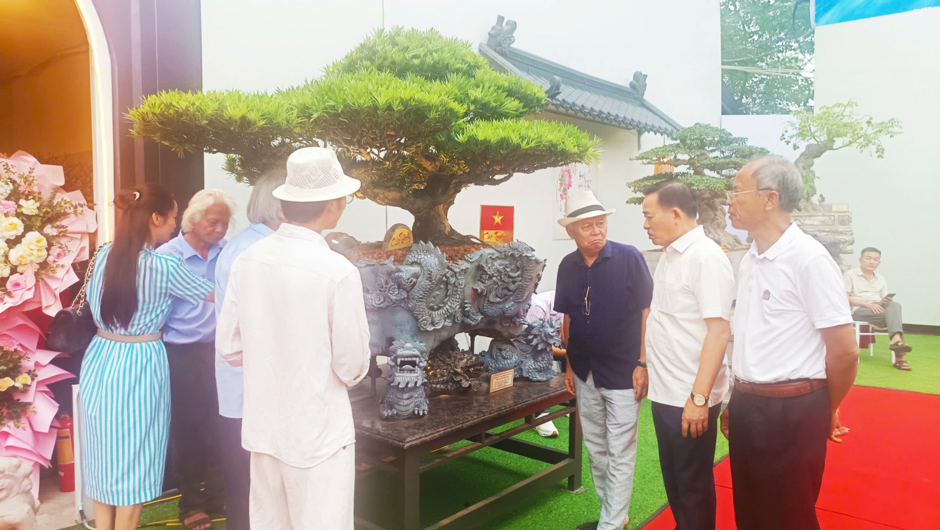 Cây thông Chí Linh: Khi di sản trở thành nguồn lực phát triển kinh tế Cây thông Chí Linh: Khi di sản trở thành nguồn lực phát triển kinh tế