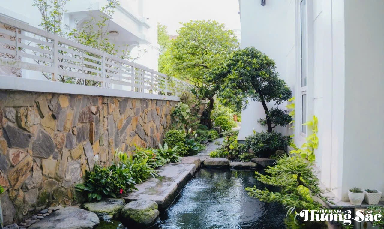 Nghệ nhân Phạm Minh Sơn: Người đưa sắc xanh trở lại không gian sống đô thị Nghệ nhân Phạm Minh Sơn: Người đưa sắc xanh trở lại không gian sống đô thị