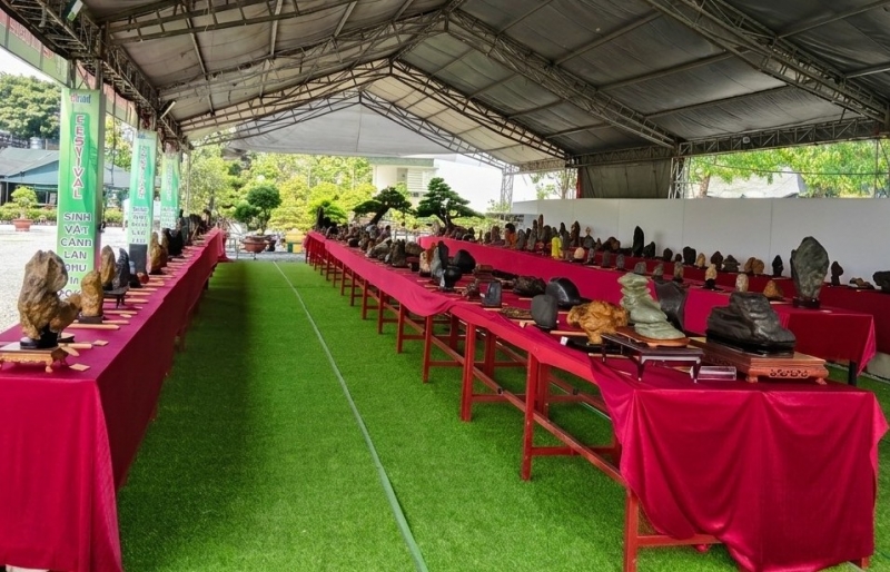 Hội thi Đá cảnh Nguyên bản – Suiseki tại Festival Sinh vật cảnh & Cây xanh Di sản lần III
