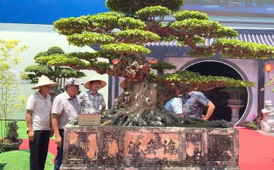 Chiêm ngưỡng tác phẩm “Dấu ấn thời gian” của Nhà vườn Minh Dưỡng