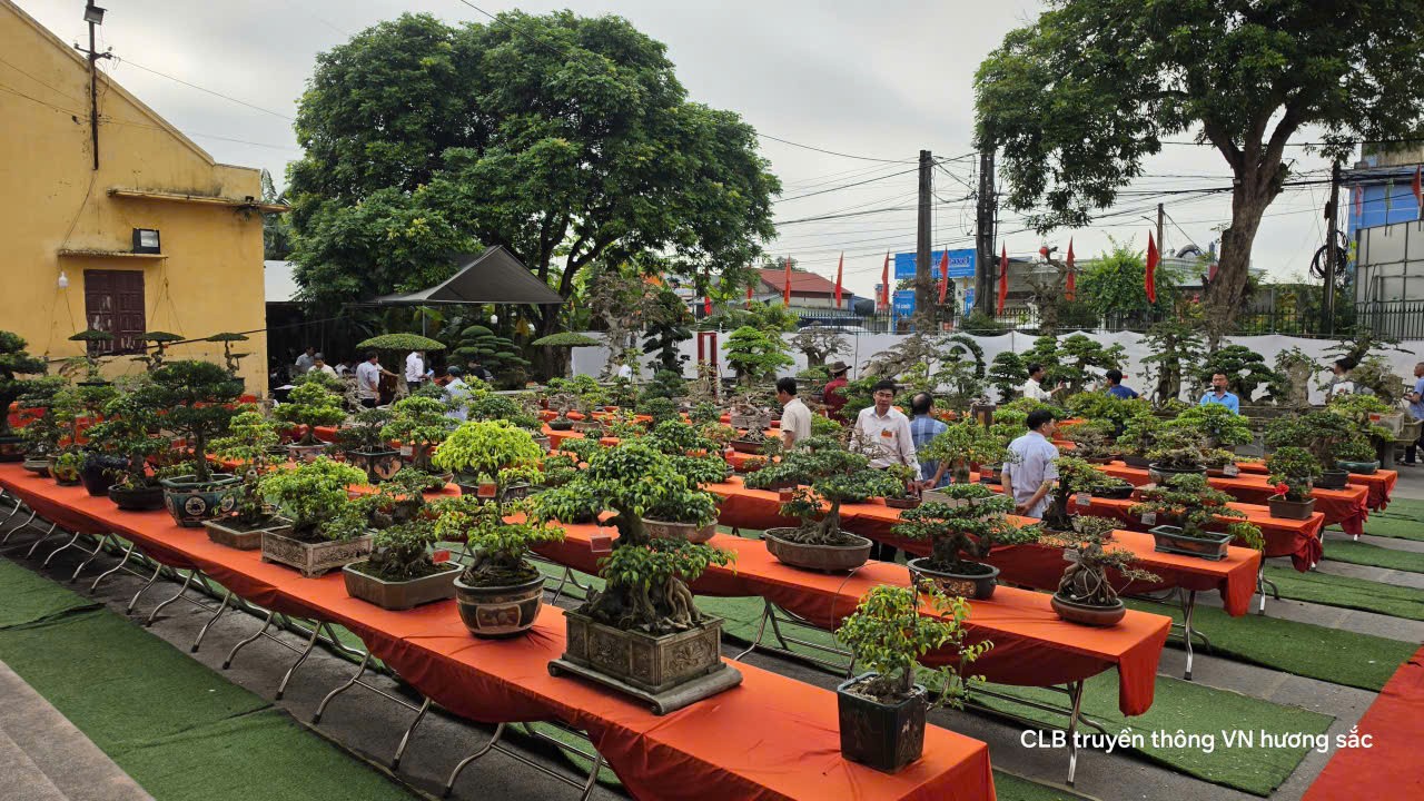 Triển lãm sinh vật cảnh xã Nam Lý, tỉnh Ninh Bình - Nơi nghệ thuật gặp gỡ đất trời Triển lãm sinh vật cảnh xã Nam Lý, tỉnh Ninh Bình - Nơi nghệ thuật gặp gỡ đất trời