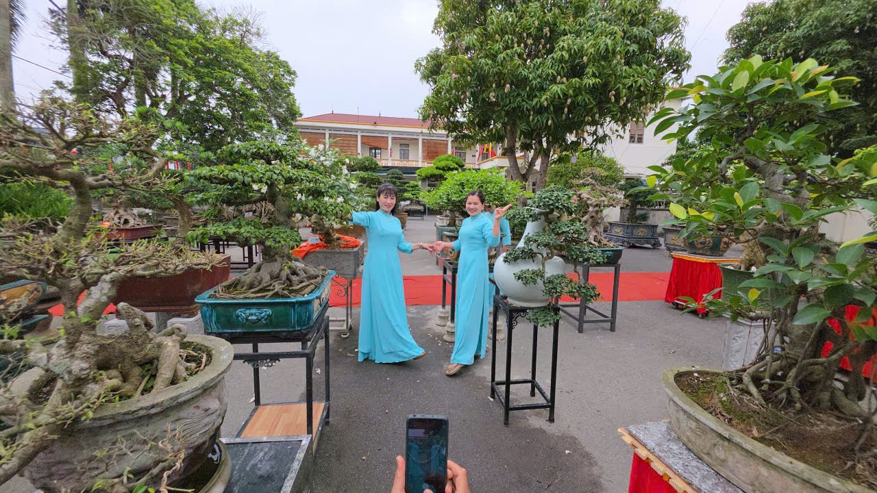 Triển lãm sinh vật cảnh xã Nam Lý, tỉnh Ninh Bình - Nơi nghệ thuật gặp gỡ đất trời Triển lãm sinh vật cảnh xã Nam Lý, tỉnh Ninh Bình - Nơi nghệ thuật gặp gỡ đất trời