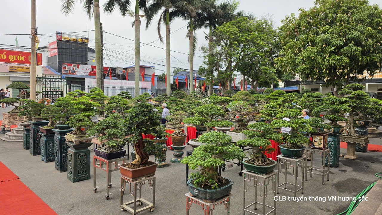 Triển lãm sinh vật cảnh xã Nam Lý, tỉnh Ninh Bình - Nơi nghệ thuật gặp gỡ đất trời Triển lãm sinh vật cảnh xã Nam Lý, tỉnh Ninh Bình - Nơi nghệ thuật gặp gỡ đất trời