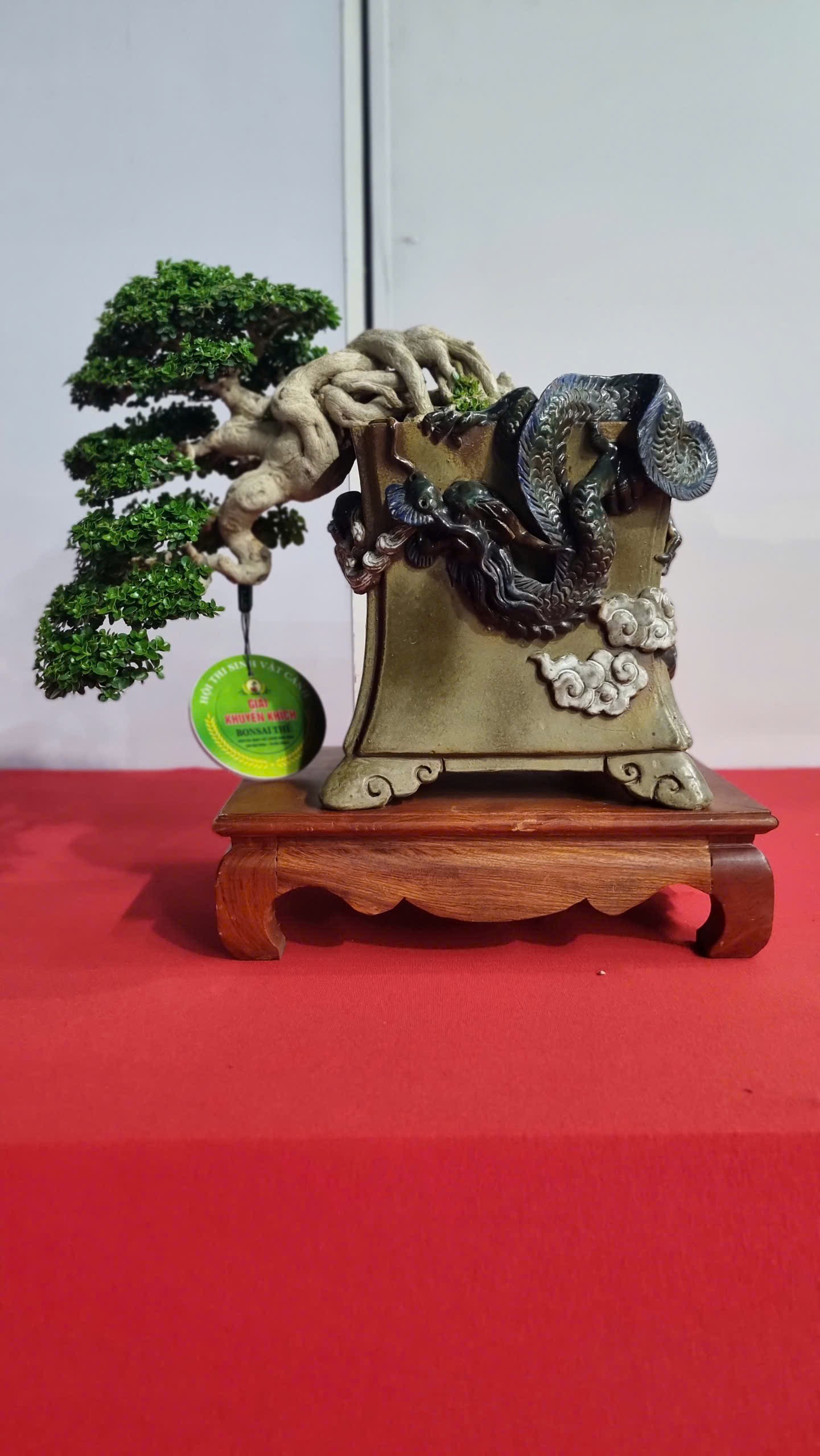 Hội thi bonsai - kiểng thế: Bức tranh nghệ thuật sống động tại Festival Cây xanh Di sản TP HCM lần III năm 2026