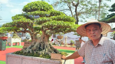 Triển lãm cây cảnh nghệ thuật Xuân 2026: Dấu ấn tác phẩm “Cội Nguồn” của nhà vườn Minh Dưỡng